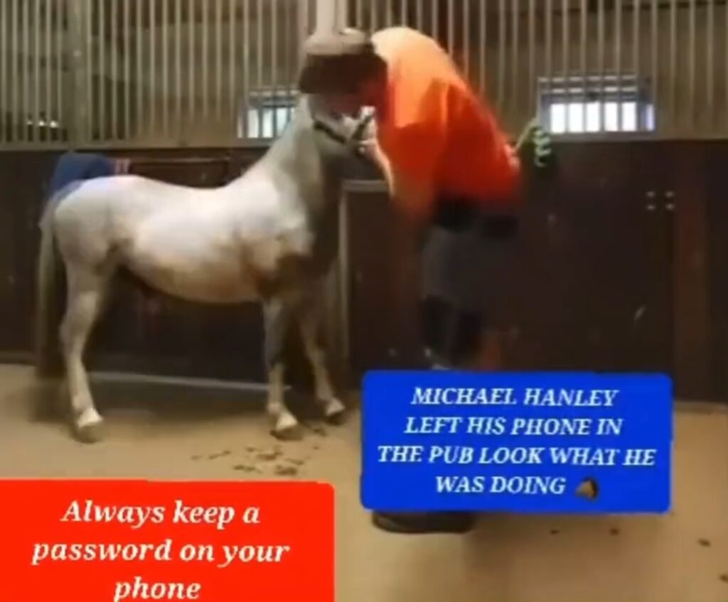 Michael Hanley Having S3x With A Horse